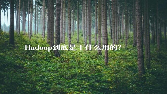 Hadoop到底是干什么用的？