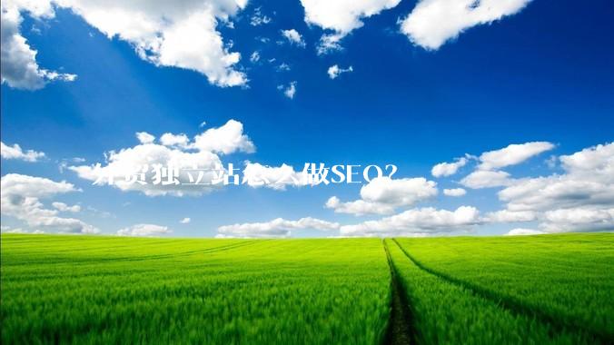 外贸独立站怎么做SEO？